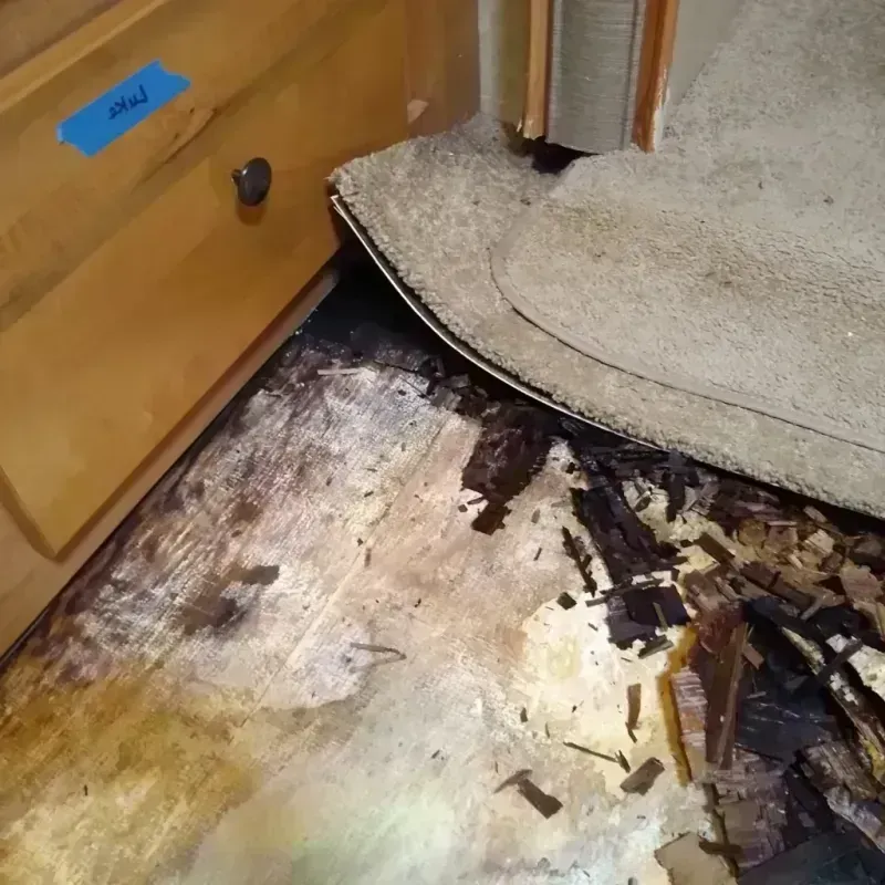 Best Wood Floor Water Damage Service in Spartanburg County, SC